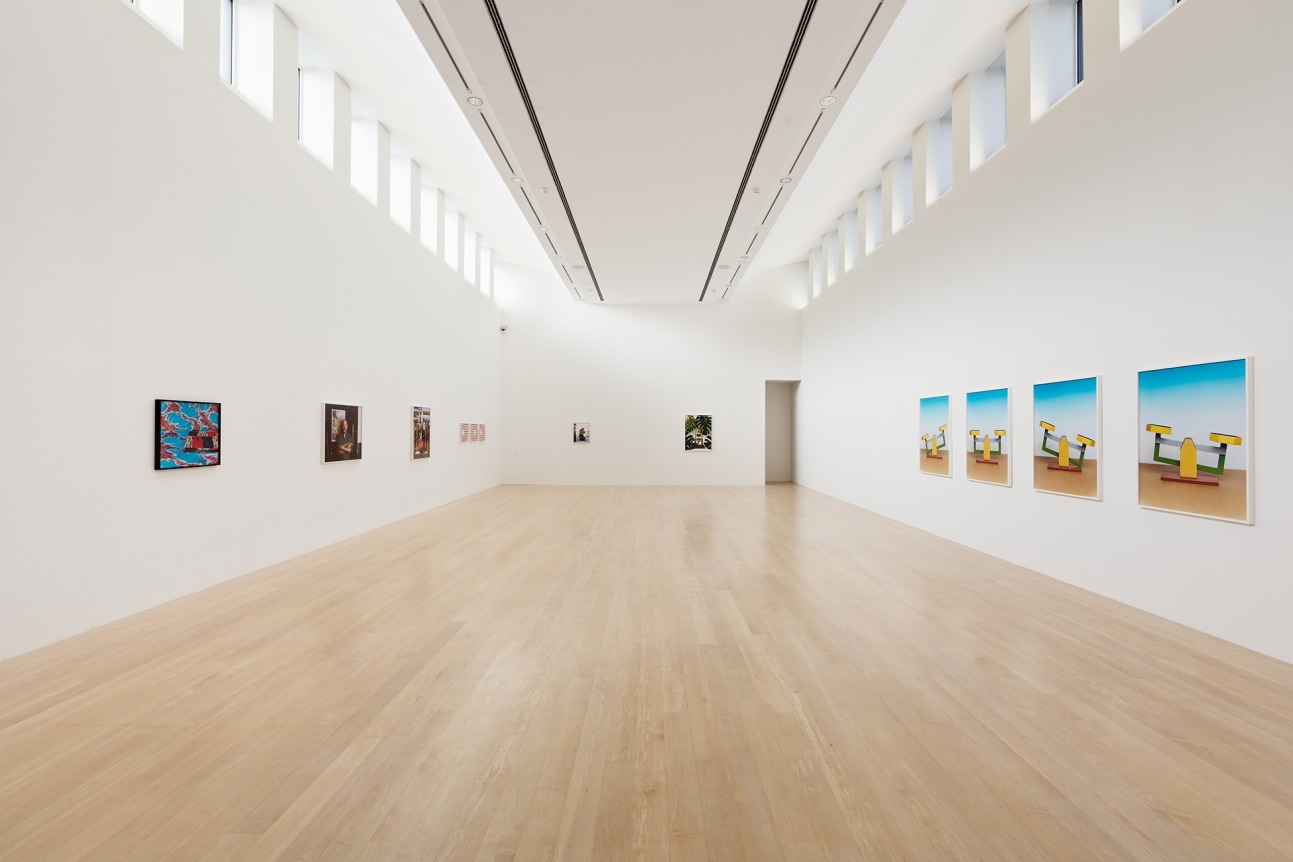 Annette Kelm, Leaves, March 11 - May 7, 2017, Kestnergesellschaft, Hannover, Germany