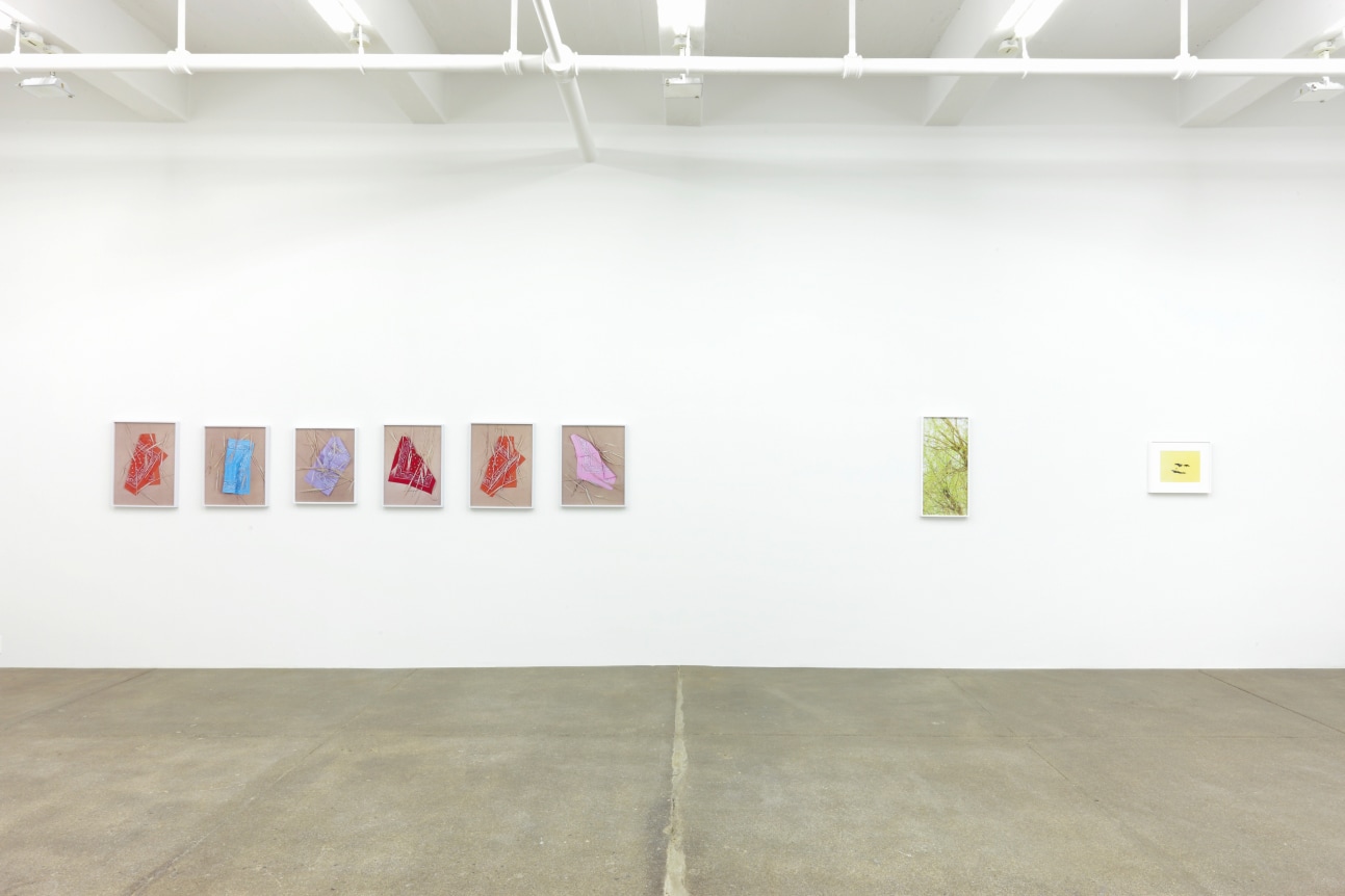 Annette Kelm, September 12 - November 2, 2013, Andrew Kreps Gallery, 537 W 22nd Street, New York 
