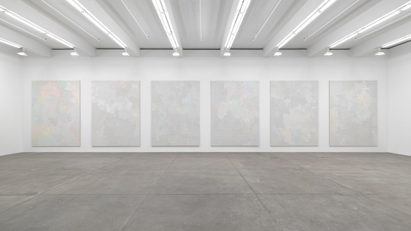 Cheyney Thompson, Birdwings and Chambered Shells