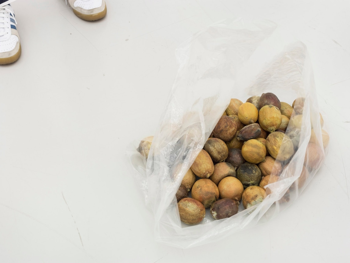 He Xiangyu Lemon Pickers, 2018