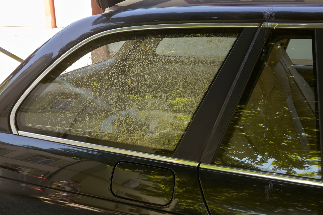 Art Parcours, Art Basel, Basel
