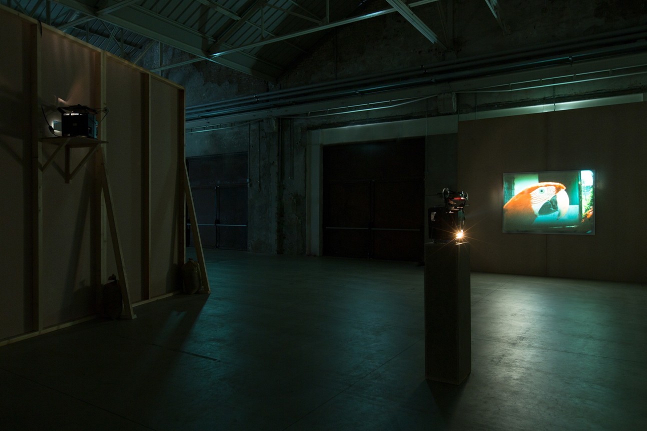 Jo&atilde;o Maria Gusm&atilde;o + Pedro Paiva,&nbsp;Papagaio