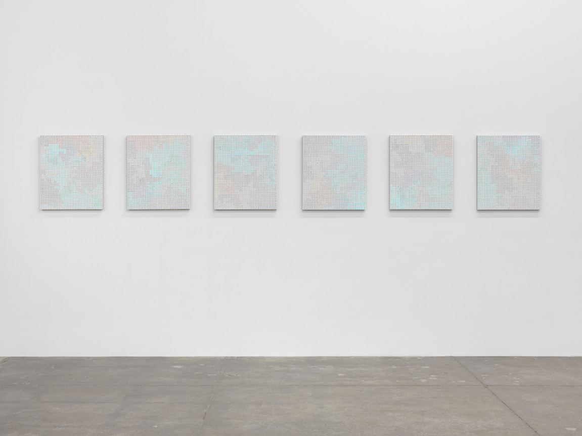 Cheyney Thompson, Birdwings and Chambered Shells