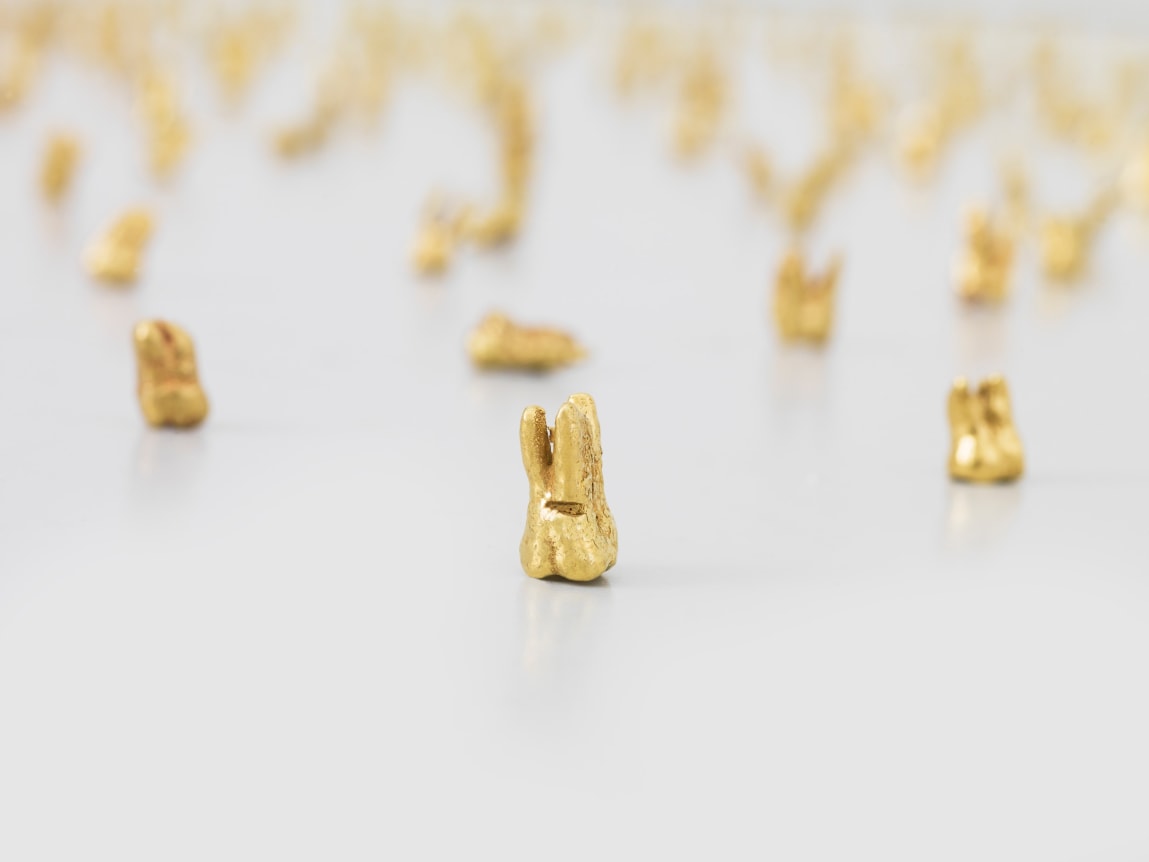 He Xiangyu Wisdom Teeth,&nbsp;2013&ndash;2014&nbsp;