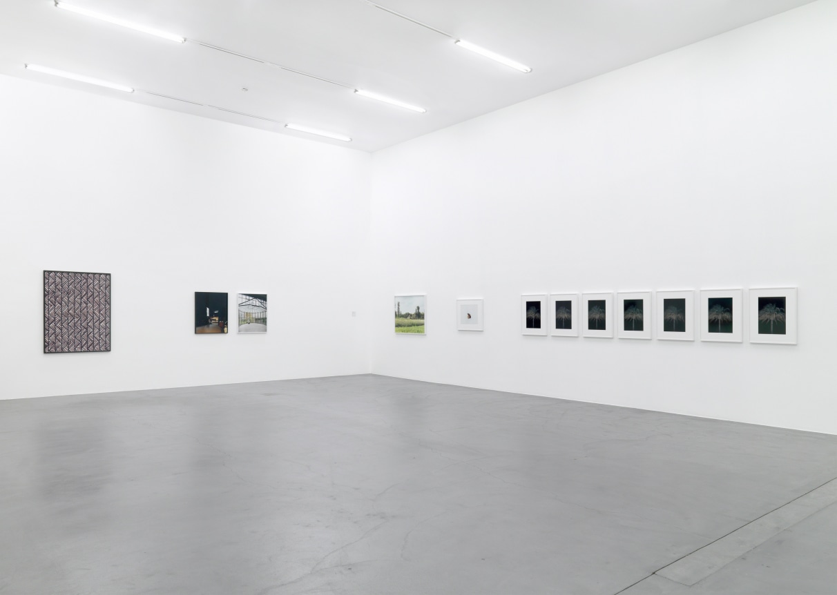 Annette Kelm, January 24 - April 26, 2009, Kunsthalle Zurich, Zurich, Switzerland