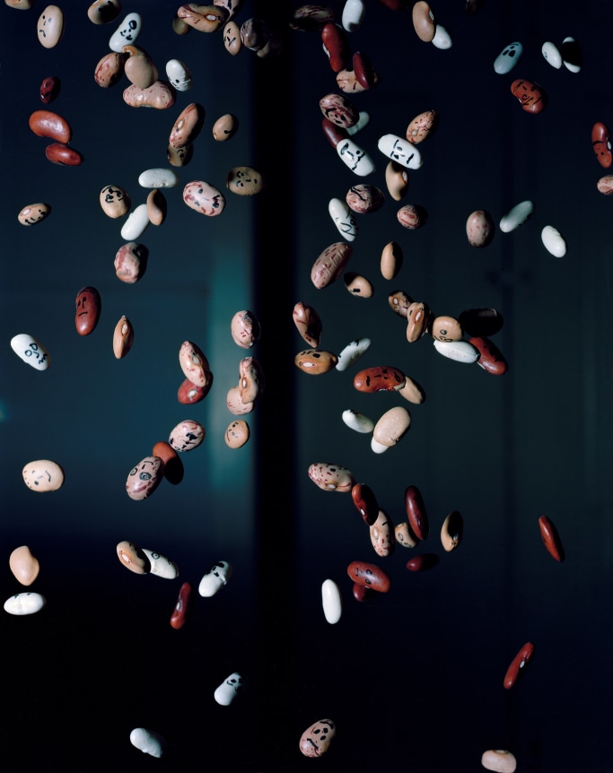 Jo&atilde;o Maria Gusm&atilde;o + Pedro Paiva