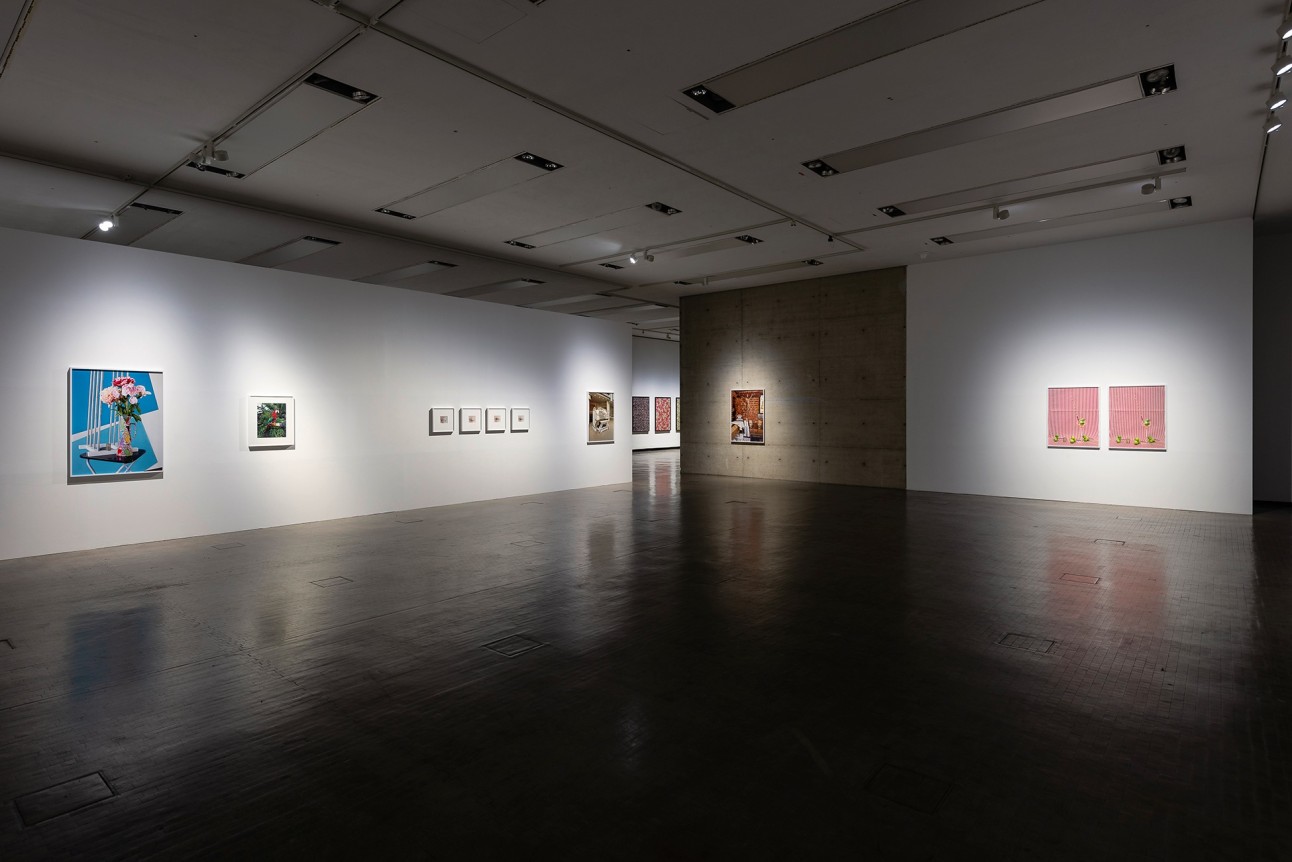 Annette Kelm, Tomato Target, December 14, 2018 - March 24, 2019, Kunsthalle Wien, Vienna, Austria