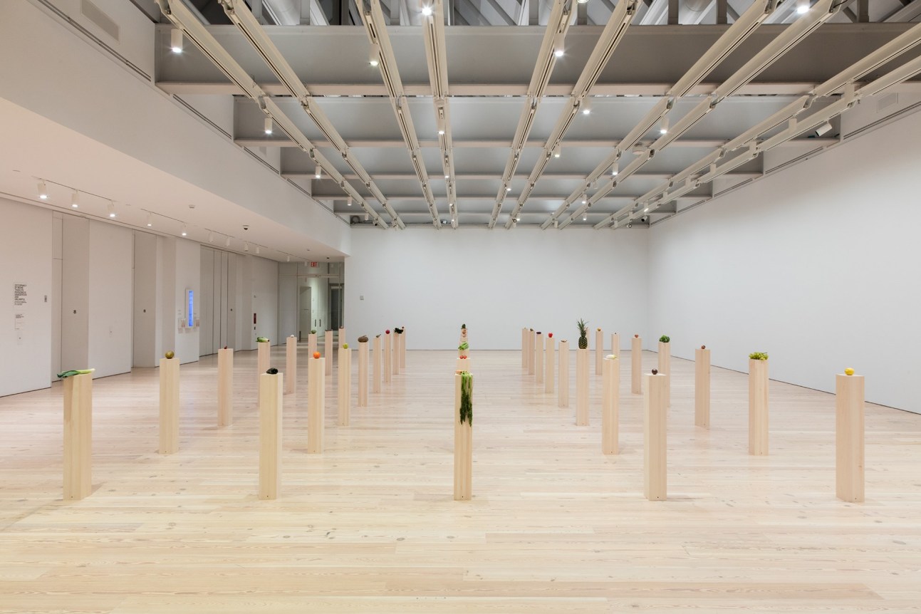 Darren Bader, Installation view