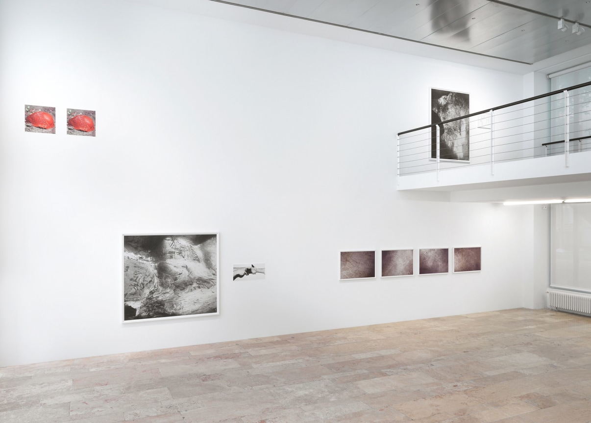 Geduld, Capitain Petzel, Berlin, Germany