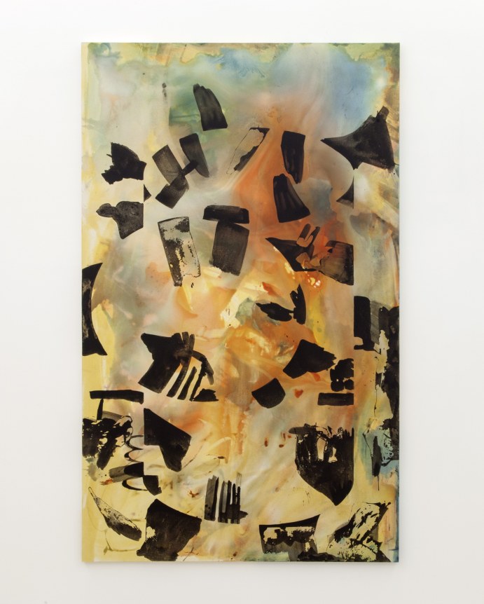 Pádraig Timoney, Tinned Tomatoes, 2003
