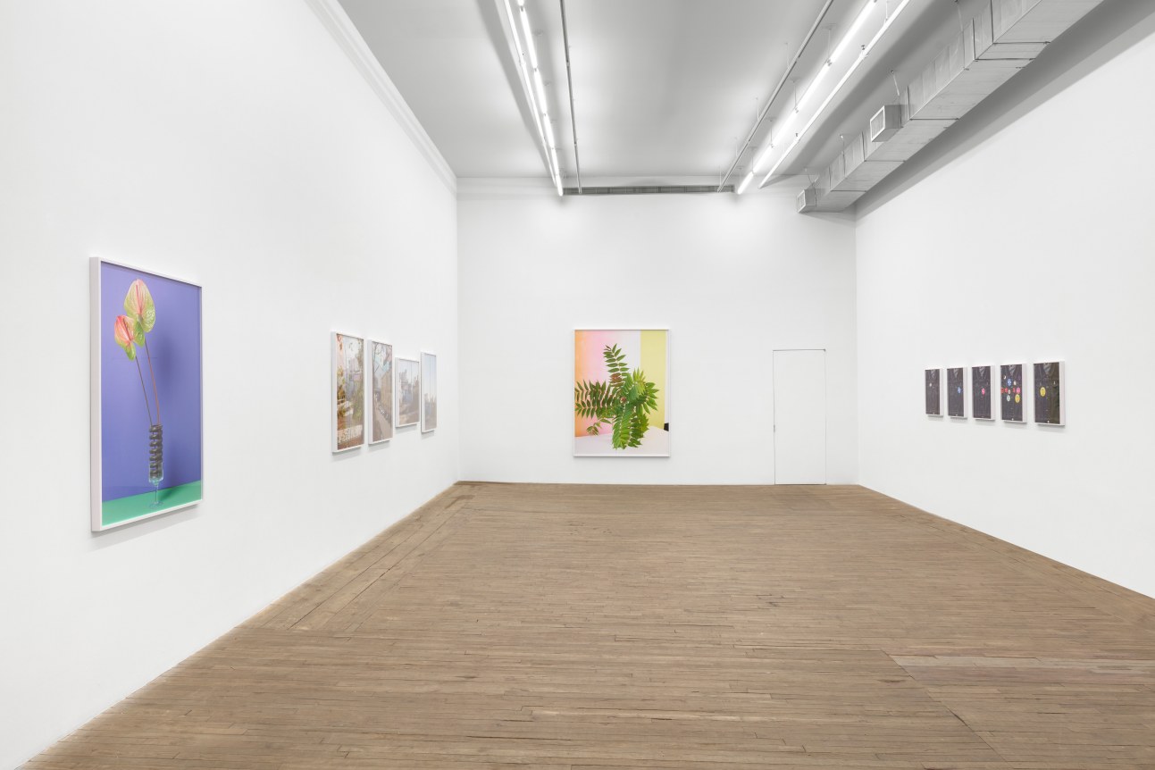 Annette Kelm, Present Past Perfect, February 24 - March 25, 2023, Andrew Kreps Gallery, 55 Walker, New York