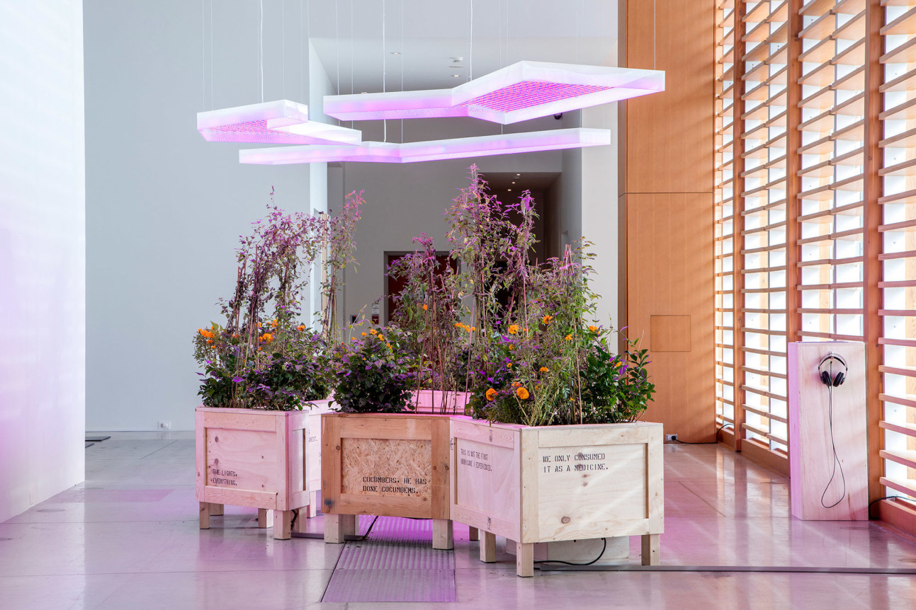 Hito Steyerl, Hito Steyerl: This is the future, October 24, 2019 - February 23, 2020, Art Gallery of Ontario, Canada