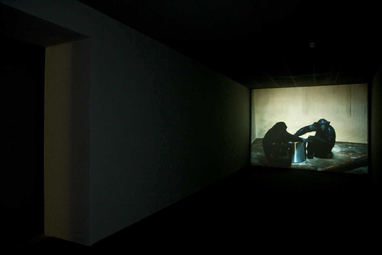 Jo&atilde;o Maria Gusm&atilde;o + Pedro Paiva, Experiments and Observations on Different Kinds of Air