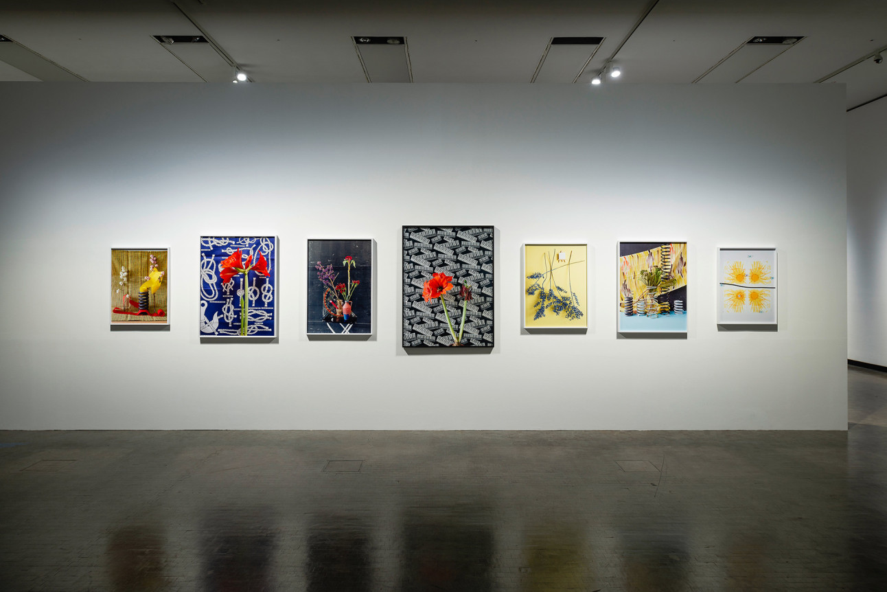 Annette Kelm, Tomato Target, December 14, 2018 - March 24, 2019, Kunsthalle Wien, Vienna, Austria