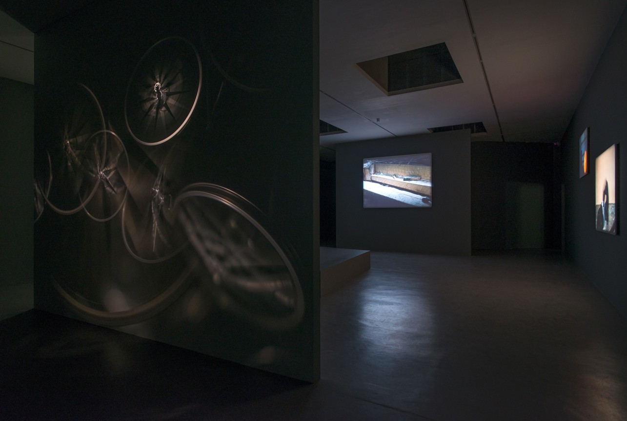 Jo&atilde;o Maria Gusm&atilde;o + Pedro Paiva, Papagaio