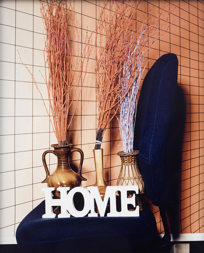 Annette Kelm  Home Home Home / Flashlight, 2015