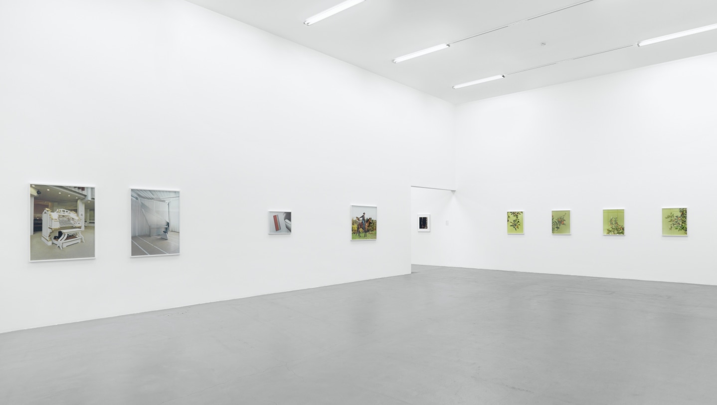 Annette Kelm, January 24 - April 26, 2009, Kunsthalle Zurich, Zurich, Switzerland