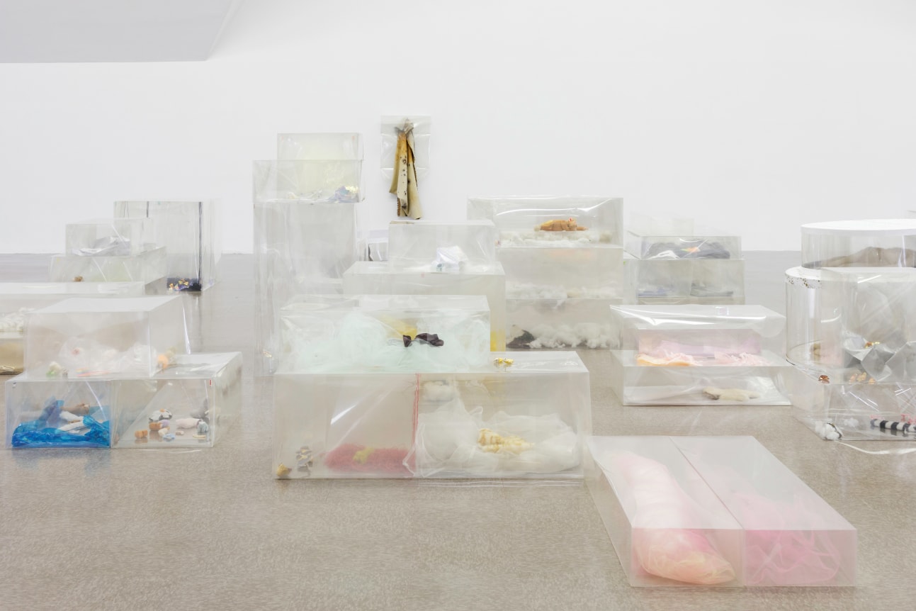 Liz Magor Pet Co., 2018