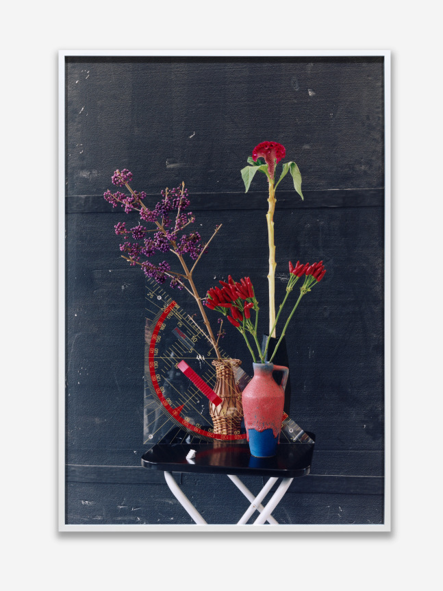 Annette Kelm  Square and Flowers, 2016