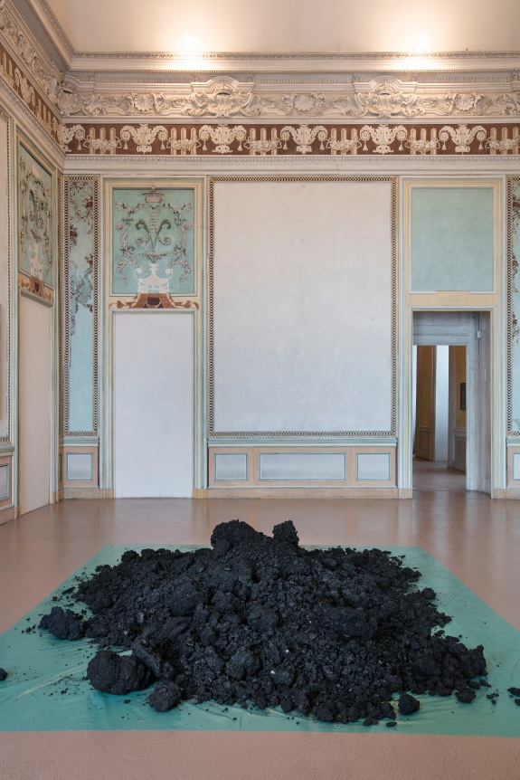 He Xiangyu Coca-Cola Project, 2009