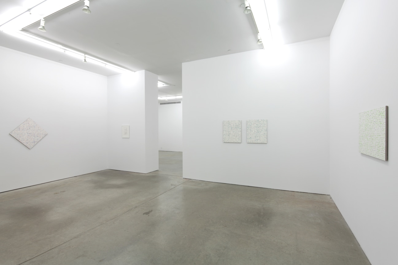 Cheyney Thompson, Robert Macaire Chromachromes 