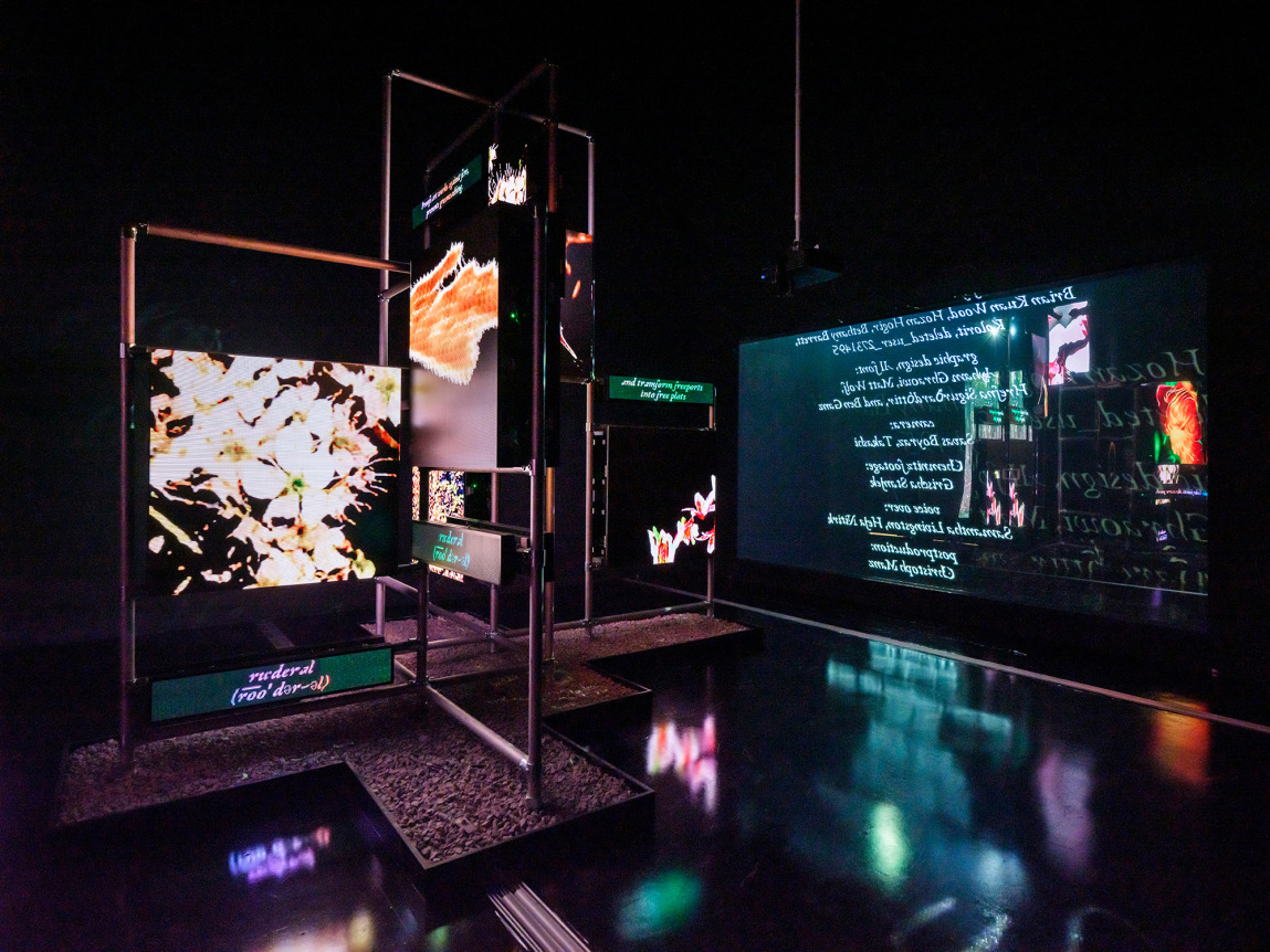 Hito Steyerl, A Sea of Data