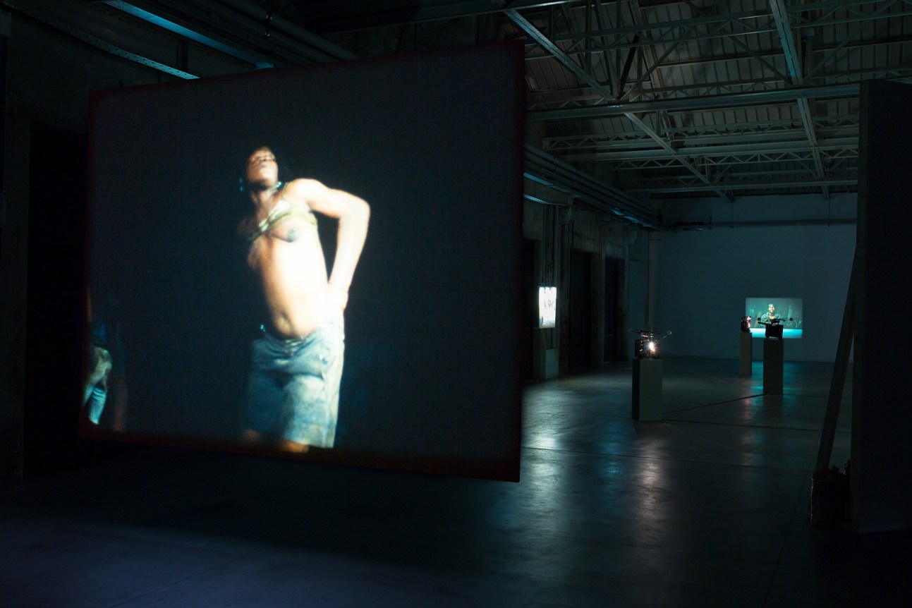 Jo&atilde;o Maria Gusm&atilde;o + Pedro Paiva,&nbsp;Papagaio