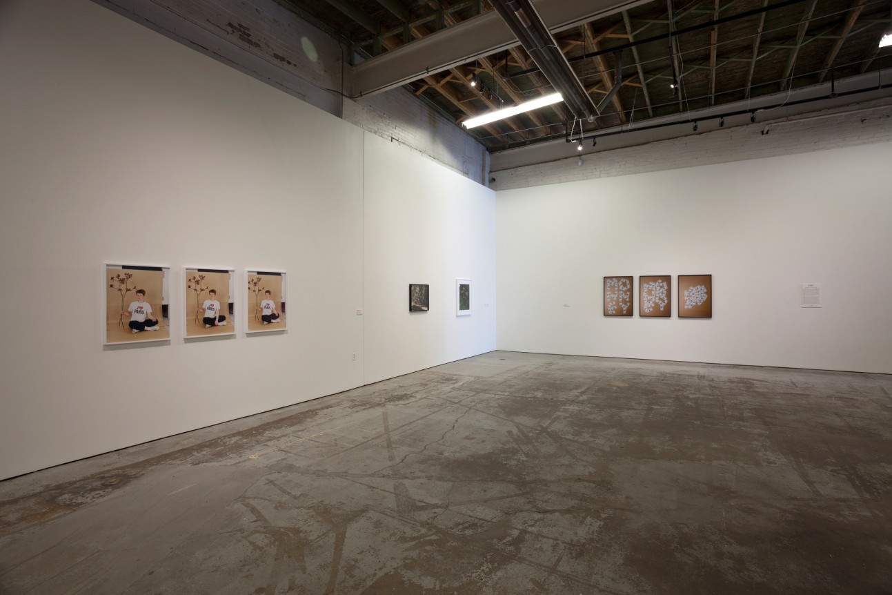 Annette Kelm, Detroit Affinities , May 6 - July 31, 2016, Museum of Contemporary Art Detroit, Michigan