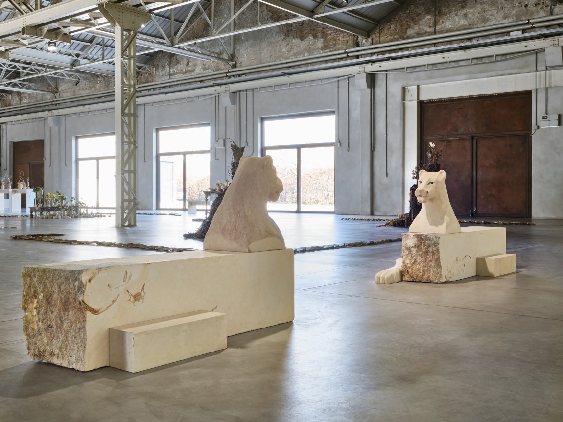 Chiara Camoni Leonesse, 2024