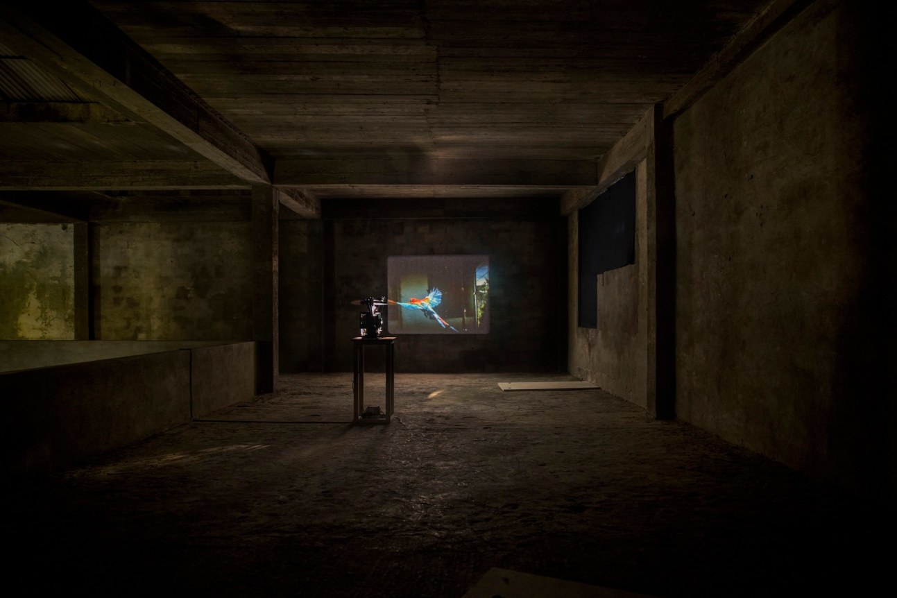 Jo&atilde;o Maria Gusm&atilde;o&nbsp;+ Pedro Paiva,&nbsp;Lua C&atilde;o
