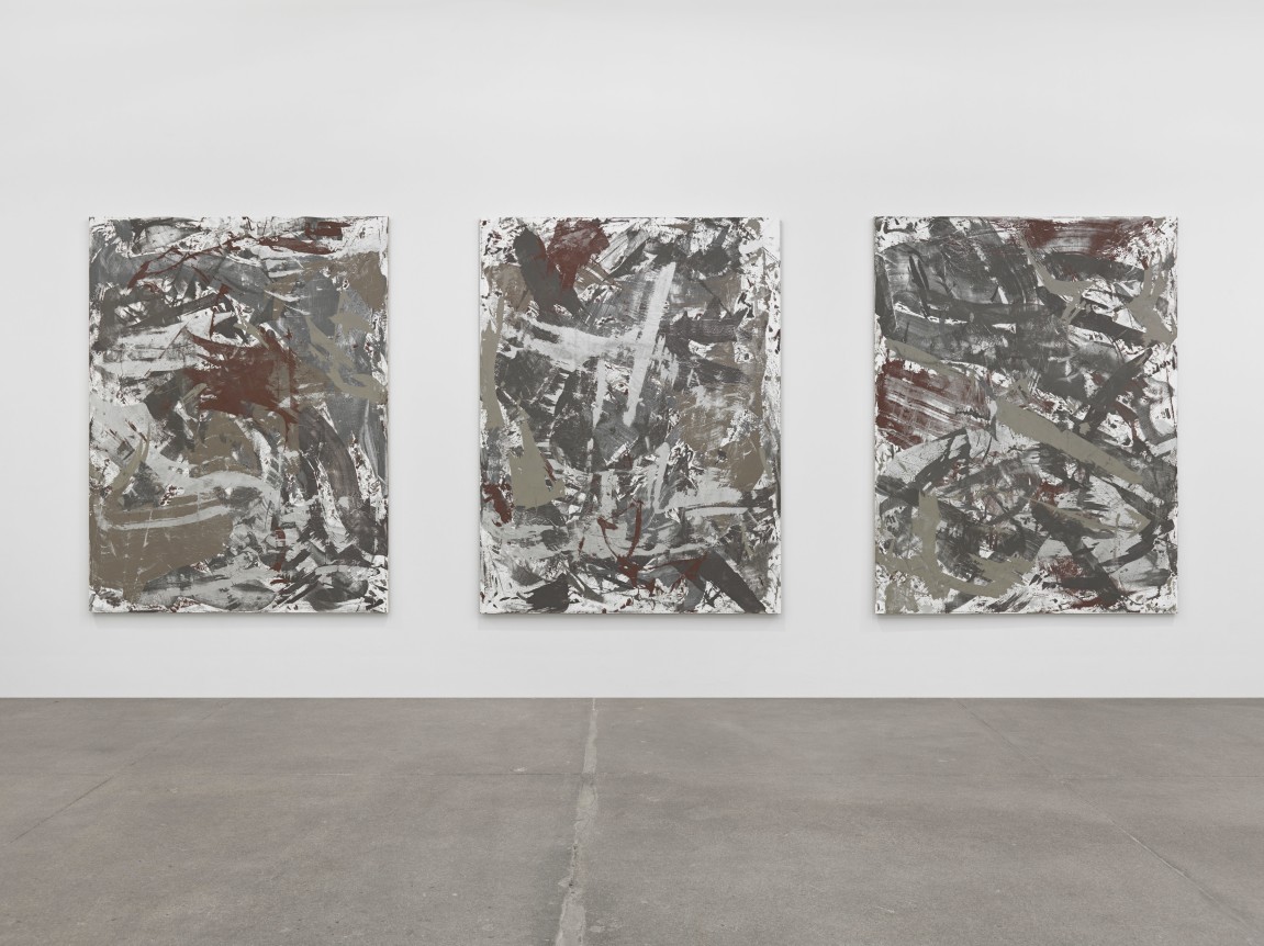 Cheyney Thompson, Birdwings and Chambered Shells