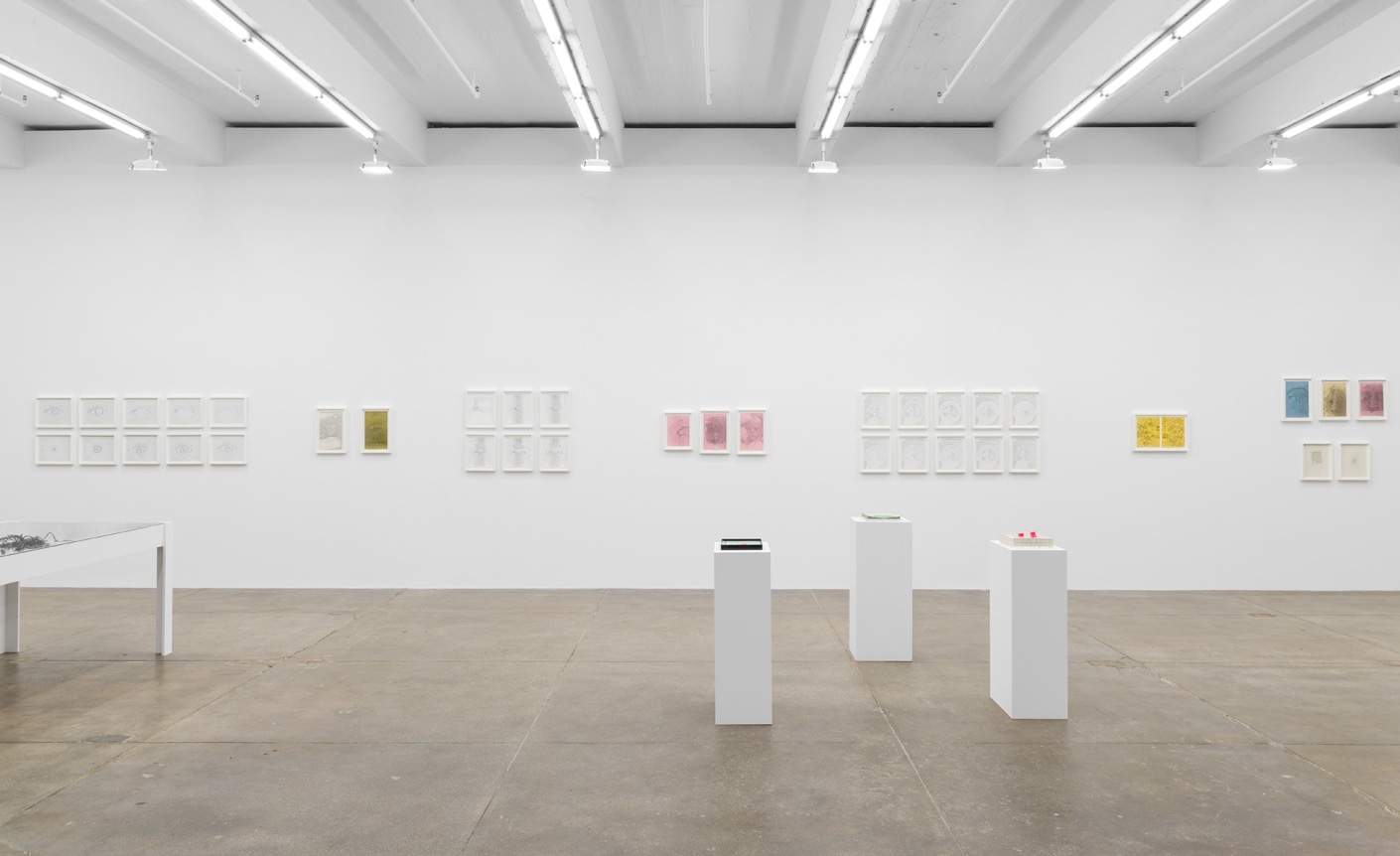 Barbara T. Smith, Outside Chance