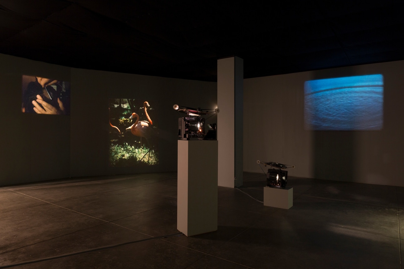 Jo&atilde;o Maria Gusm&atilde;o&nbsp;+ Pedro Paiva,&nbsp;WHERE THE SORCERER DOESN&rsquo;T DARE TO STICK HIS NOSE and Another B&amp;amp;W Ghost Show, September 6 - October 27, 2018,&nbsp;Andrew Kreps Gallery, 537 W 22nd Street, New York