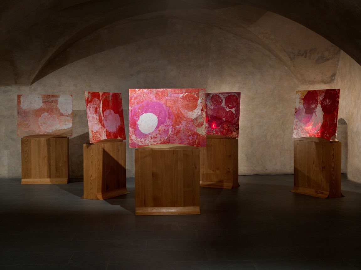 Fredrik V&aelig;rslev,&nbsp;Inner Beauty