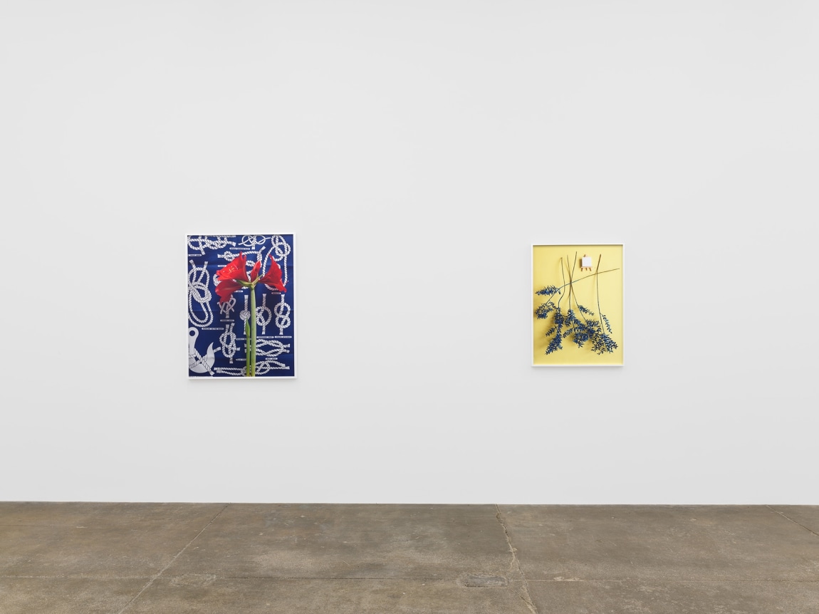 Annette Kelm, Knots, April 7 - May 12, 2018, Andrew Kreps Gallery, 537 W 22nd Street, New York