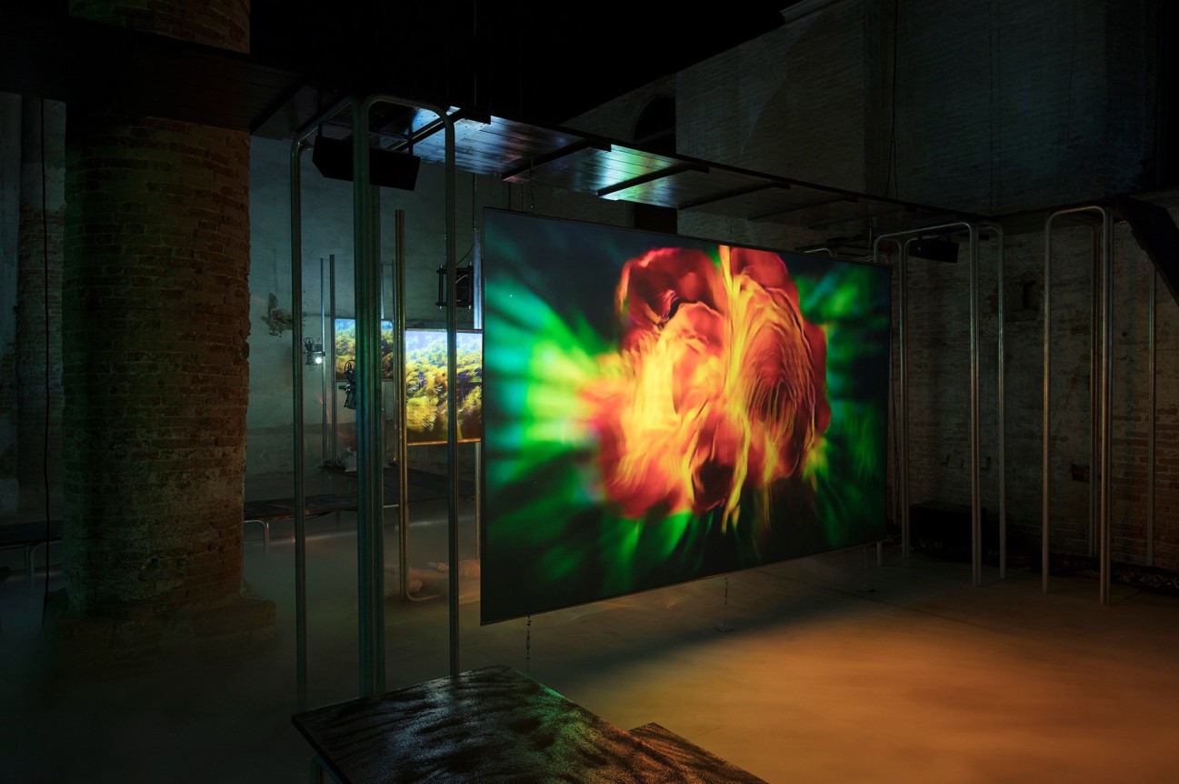 Hito Steyerl, May You Live In Interesting Times, May 11 - November 24, 2019, 58th Venice Biennale, Italy 