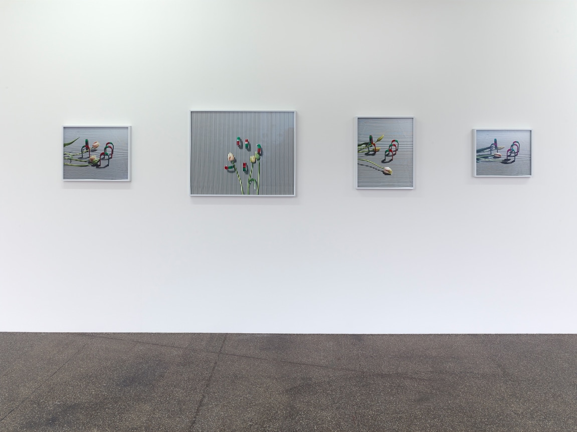 Annette Kelm, , November 7 - December 21, 2014, Kölnischer Kunstverein, Cologne, Germany 
