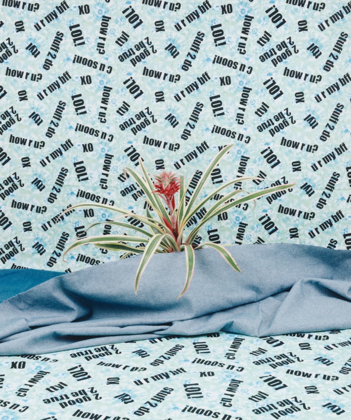 Annette Kelm Denim, Pineapple, LOL!, XO, UR MY BFF, HOW R U?, 2013