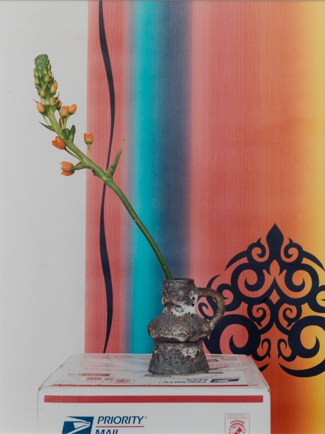 Annette Kelm Untitled (Tribal), 2010