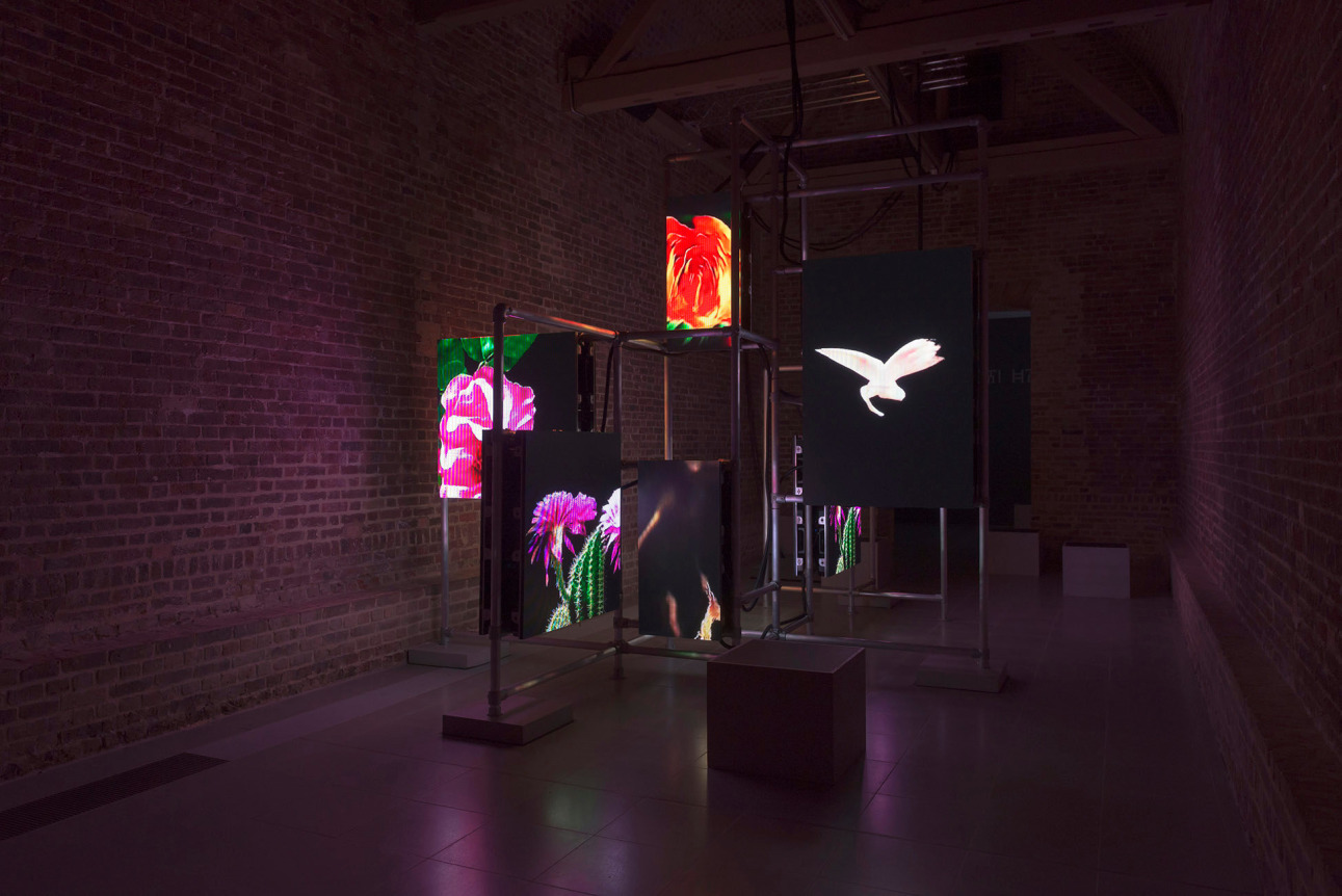 Hito Steyerl, Hito Steyerl: Power Plants, April 11 - May 6, 2019, Serpentine Galleries, London, England