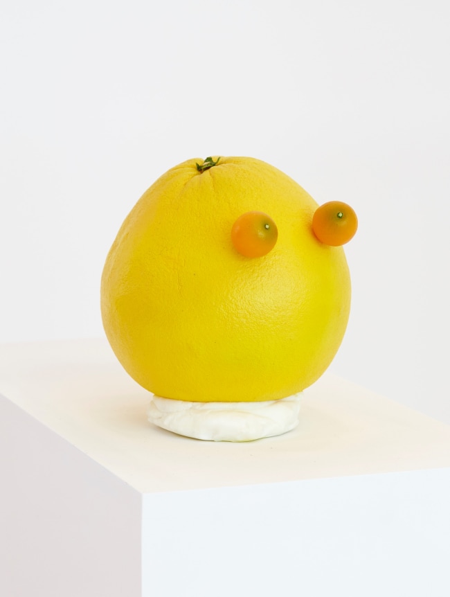 Jo&atilde;o Maria Gusm&atilde;o + Pedro Paiva,&nbsp;Kapsel 05: Jo&atilde;o Maria Gusm&atilde;o &amp;amp; Pedro Paiva. Peacock
