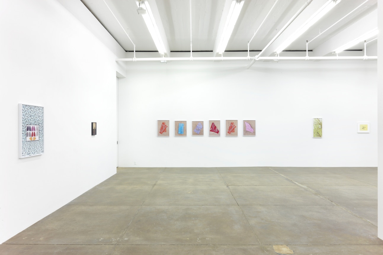 Annette Kelm, September 12 - November 2, 2013, Andrew Kreps Gallery, 537 W 22nd Street, New York 