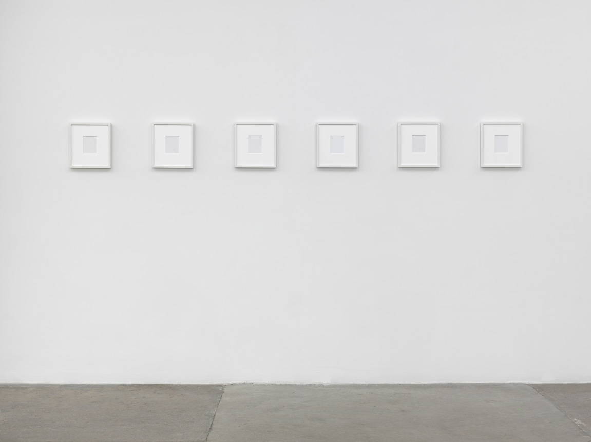 Cheyney Thompson, Birdwings and Chambered Shells