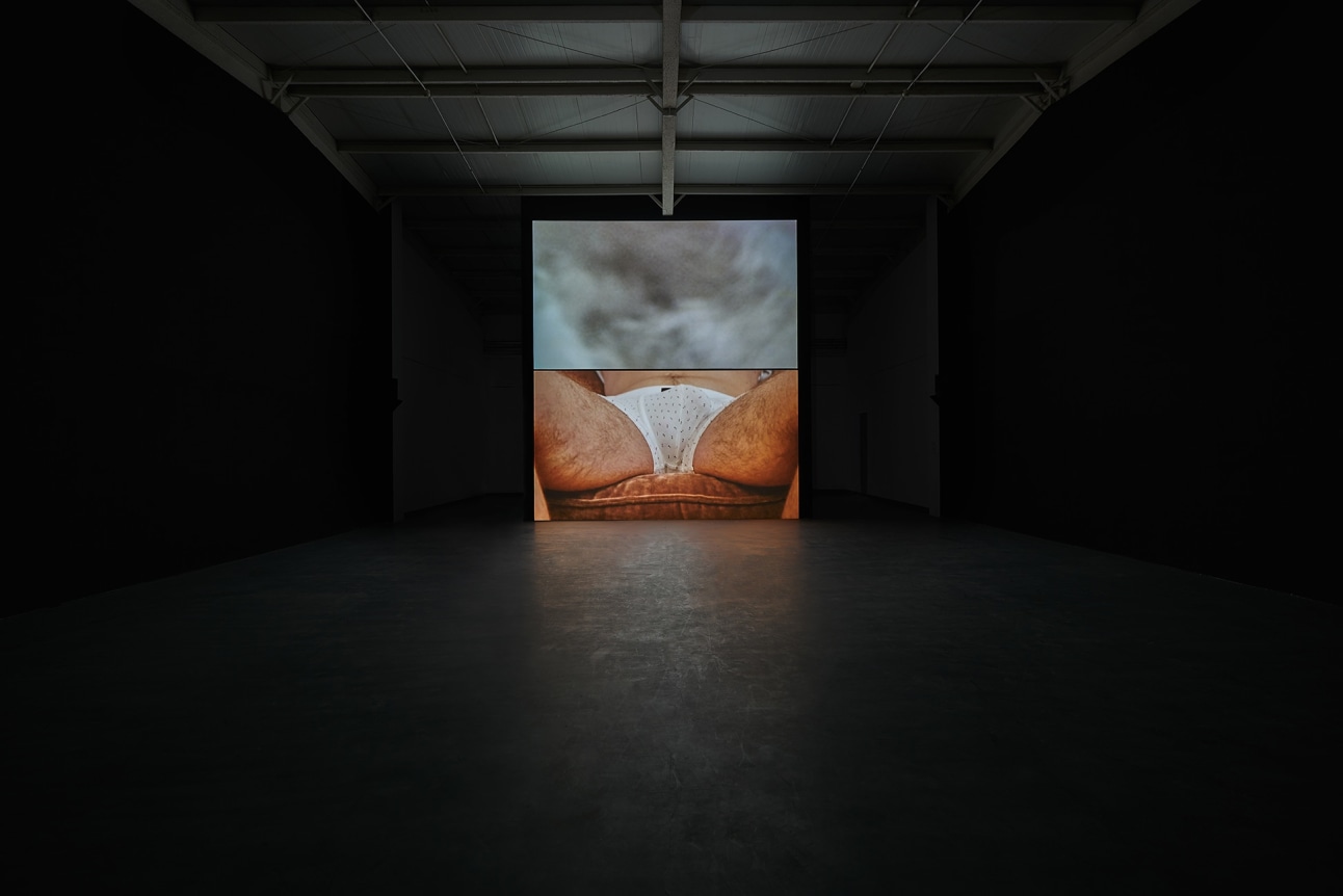 He Xiangyu 100% Cotton, 2016