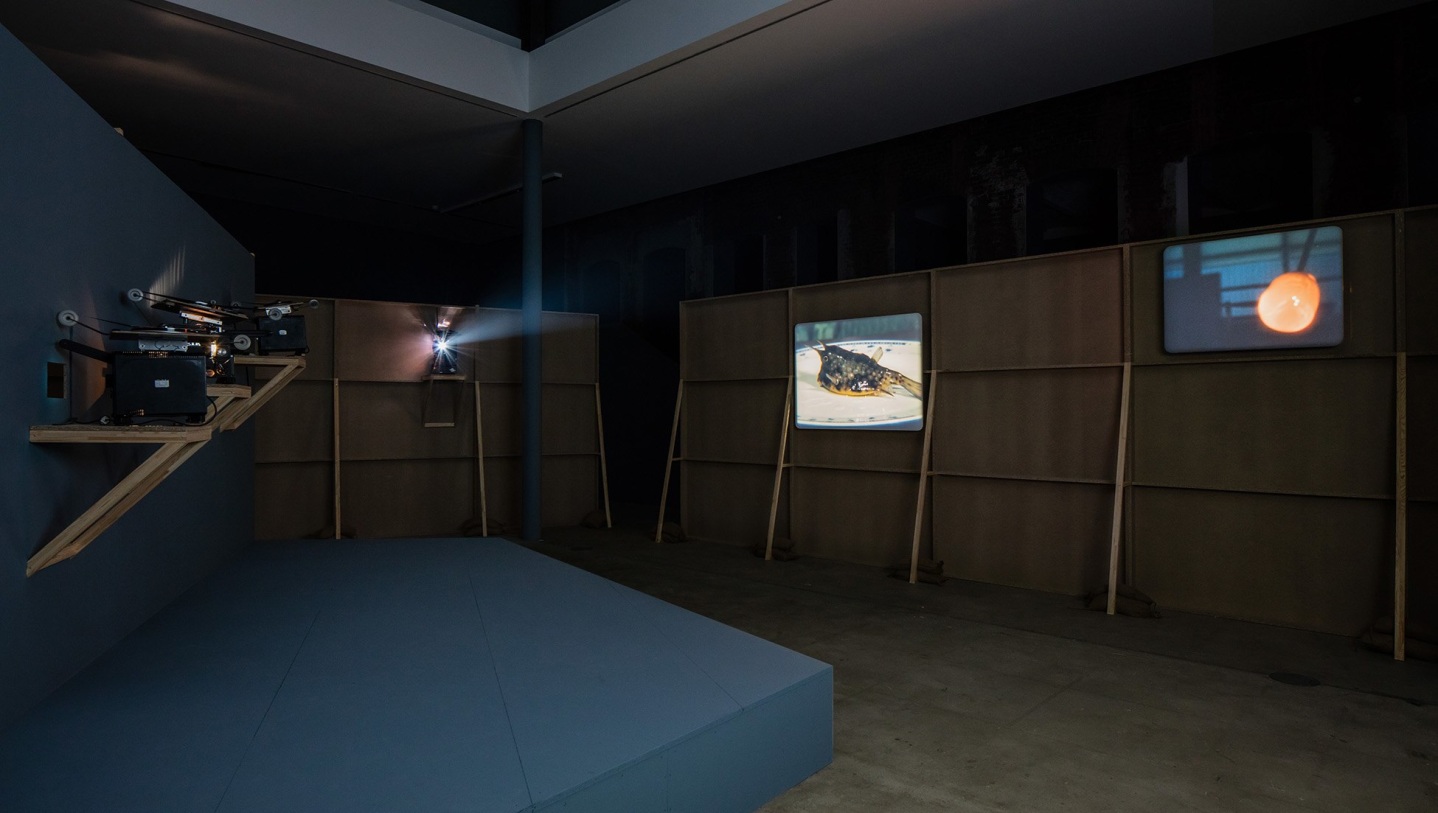 Jo&atilde;o Maria Gusm&atilde;o + Pedro Paiva,&nbsp;Papagaio