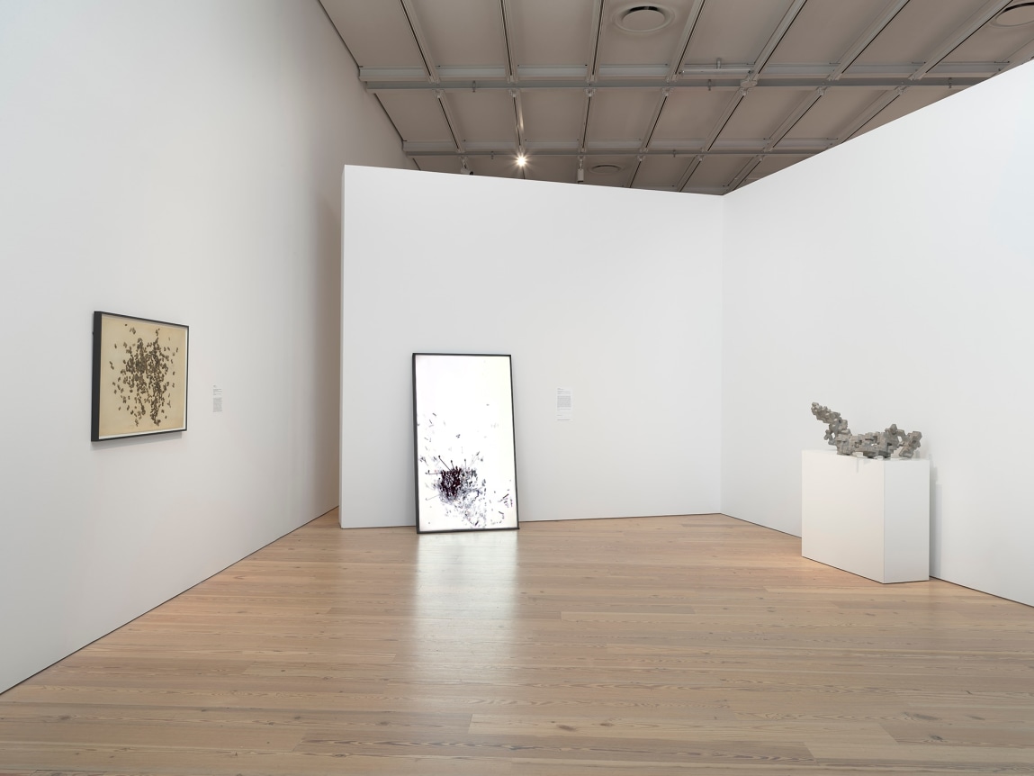 Cheyney Thompson, Programmed: Rules, Codes and Choreographies in Art, 1964-2018 