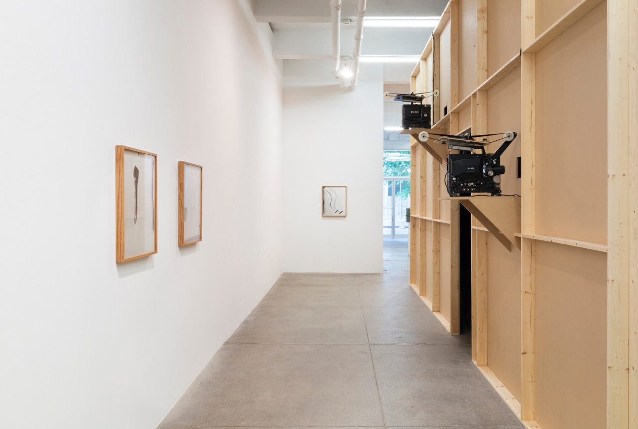 Jo&atilde;o Maria Gusm&atilde;o&nbsp;+ Pedro Paiva,&nbsp;WHERE THE SORCERER DOESN&rsquo;T DARE TO STICK HIS NOSE and Another B&amp;amp;W Ghost Show, September 6 - October 27, 2018,&nbsp;Andrew Kreps Gallery, 537 W 22nd Street, New York