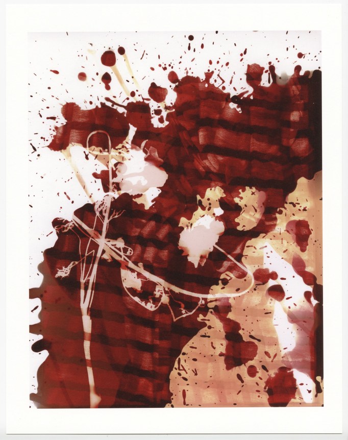 Farrah Karapetian, Ungiven Flower, 2020.