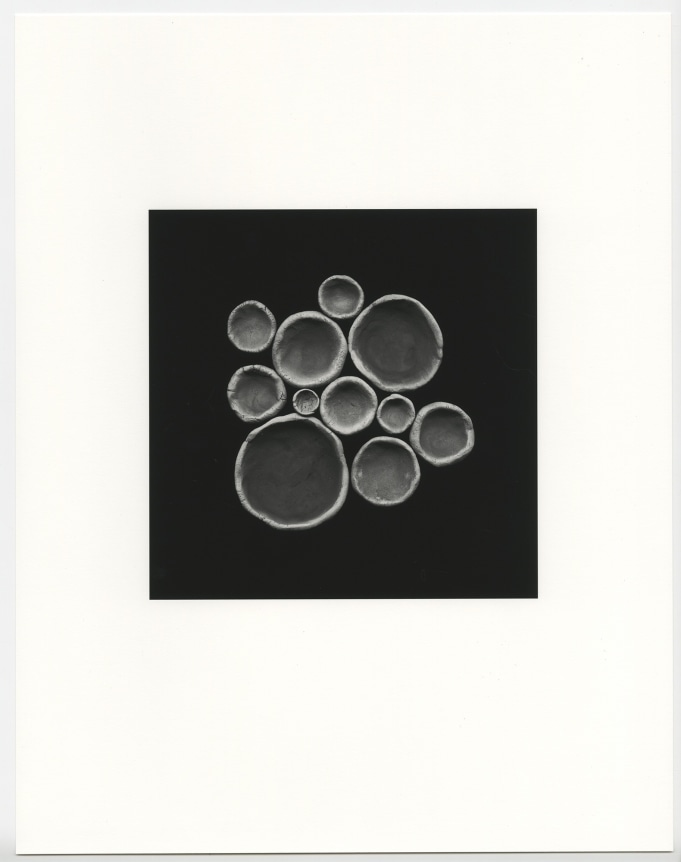 Han Nguyen, Untitled (empty bowls), 2020.