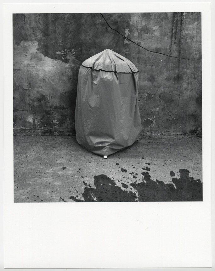 Joe Yorty, Statue 06, 2013.